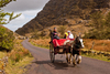 Fleming's White Bridge Caravan & Camping Park